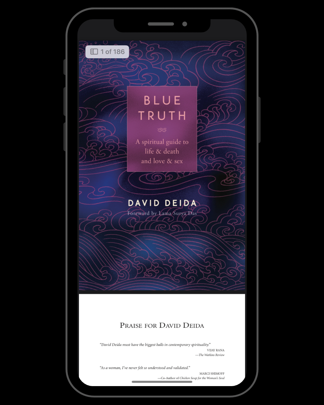 Blue Truth: A Spiritual Guide to Life & Death and Love & Sex