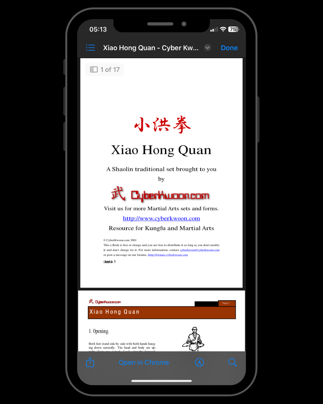 Xiao Hong Quan: A Shaolin Traditional Set Brought to You
