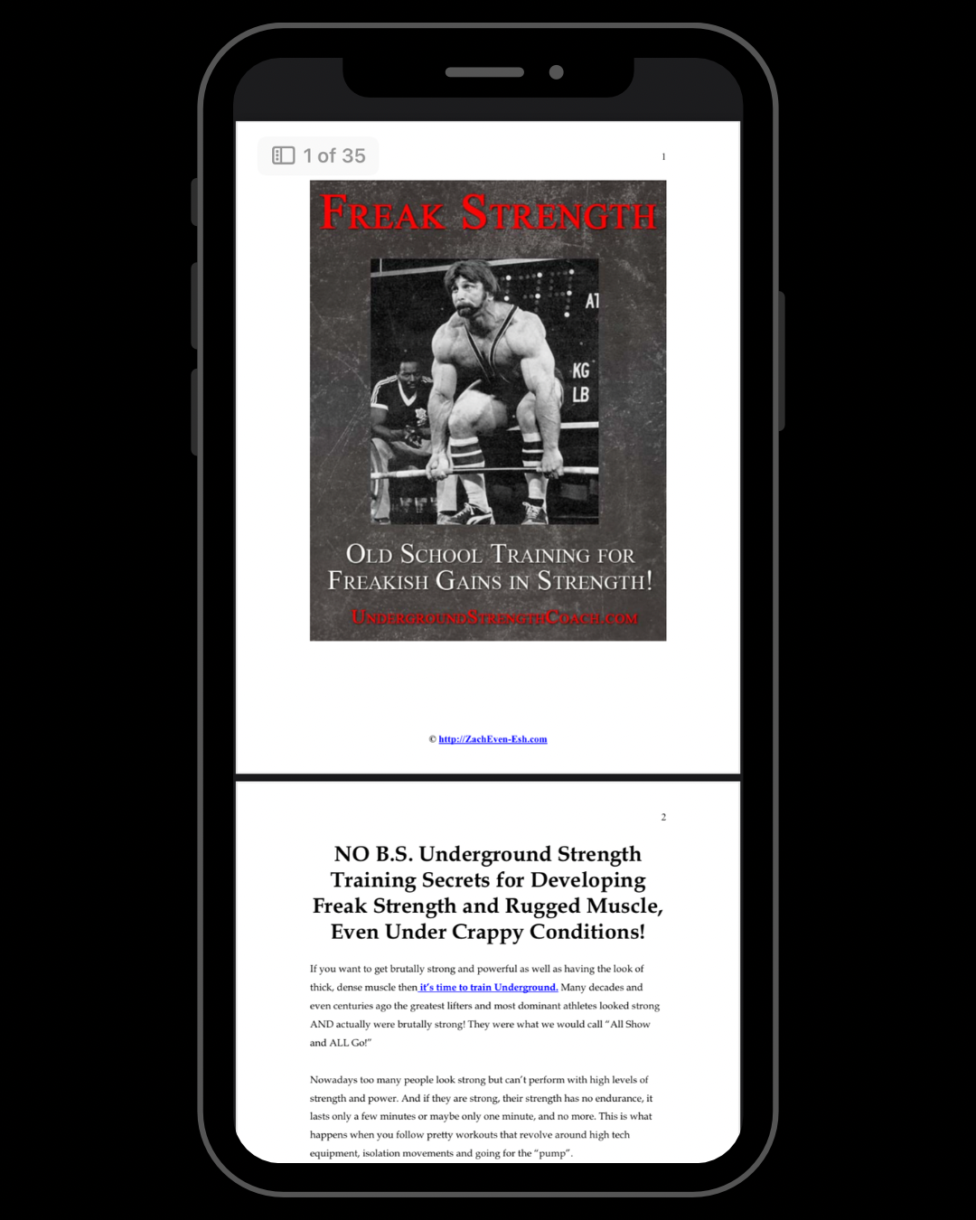 Freak Strength: Old School Training for Freakish Gains in Strength