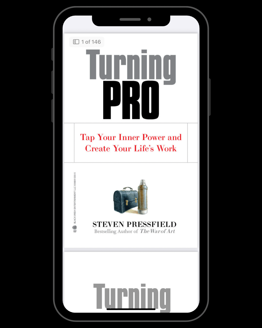 Turning Pro: Tap Your Inner Power and Create Your Life's Work