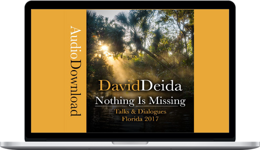 Nothing is Missing - The 2017 Florida Talks