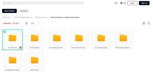 AdWords IQ Academy