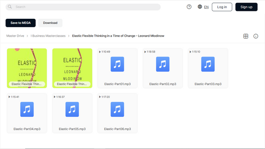 Elastic Flexible Thinking in a Time of Change