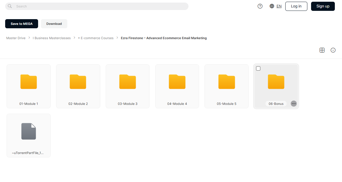 Advanced Ecommerce Email Marketing