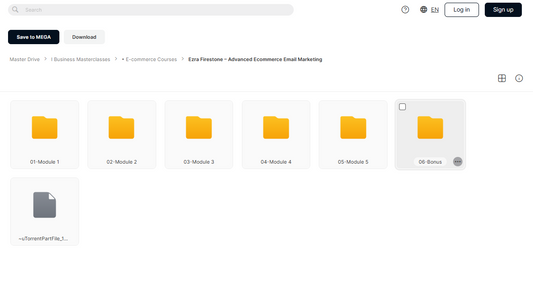 Advanced Ecommerce Email Marketing