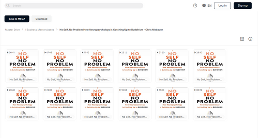 No Self, No Problem How Neuropsychology is Catching Up to Buddhism