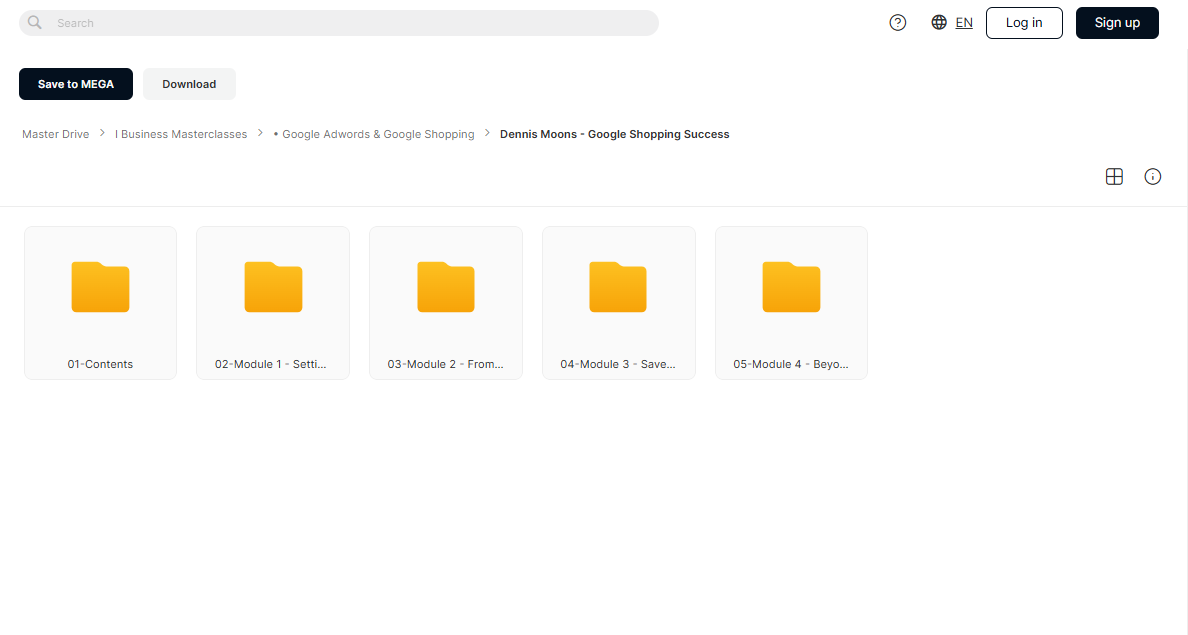 Google Shopping Success