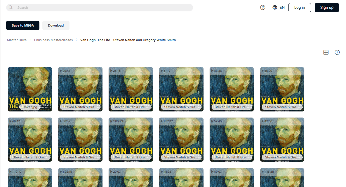 Van Gogh, The Life